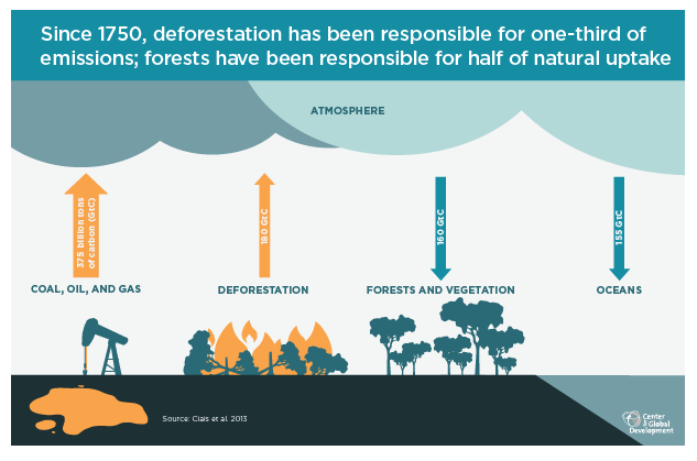 Infographics Why Forests Why Now Center For Global Development